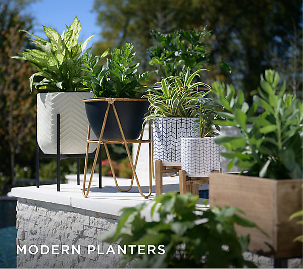 Modern Planters