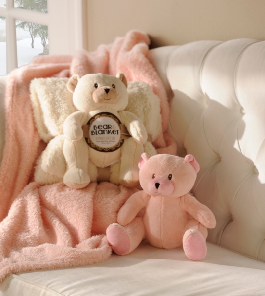 teddy bear and blanket set