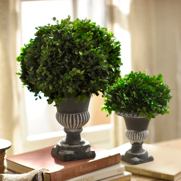 Preserved Boxwood Topiary 17 Inch Kirklands