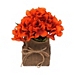 Orange Hydrangea Burlap Floral Arrangement
