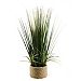Mixed Grass Rope-Wrapped Planter Arrangement