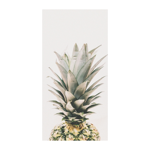 Pineapple Canvas Art Print Kirklands