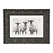 Sheep Trio Framed Art Print