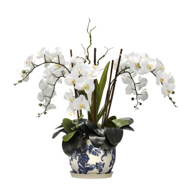 White Orchid Arrangement In Blue Ceramic Planter Kirklands