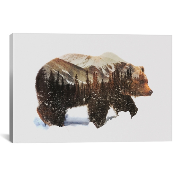 Arctic Grizzly Bear Canvas Art Print Kirklands