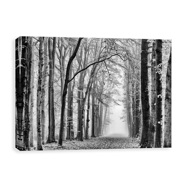 Black And White Forest Canvas Art Print Kirklands