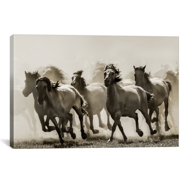19++ Most Running horses wall art images information