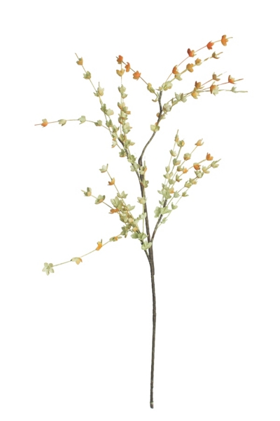Cherry Blossom Branches Set Of 6 Kirklands
