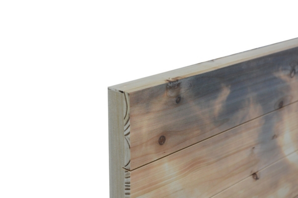 Longhorn Stare Wood Art Print