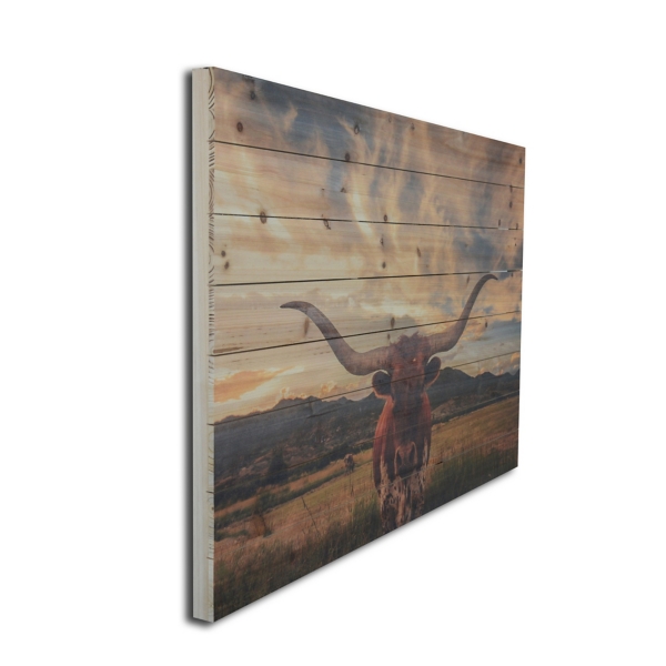 Longhorn Stare Wood Art Print