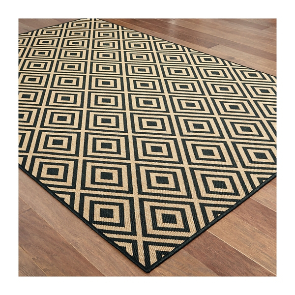 Black Haydn Outdoor Area Rug, 5x7