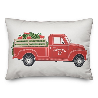 Watermelon hotsell outdoor pillow