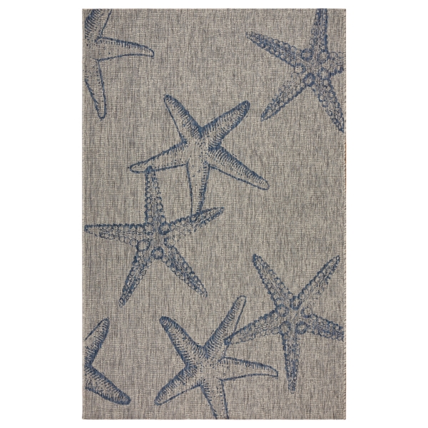 Starry Shores Captiva Outdoor Area Rug, 7x9