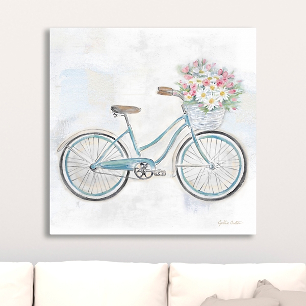 bicycle with a basket