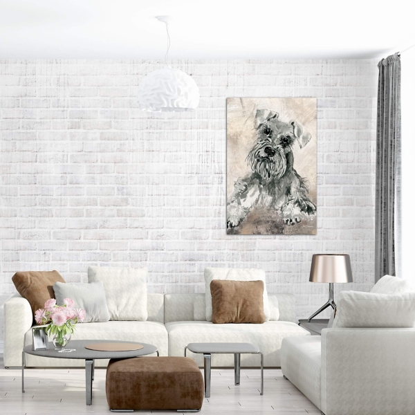 Gray Schnauzer Canvas Art Print
