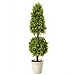Boxwood Ball and Cone Topiary, 36 in.