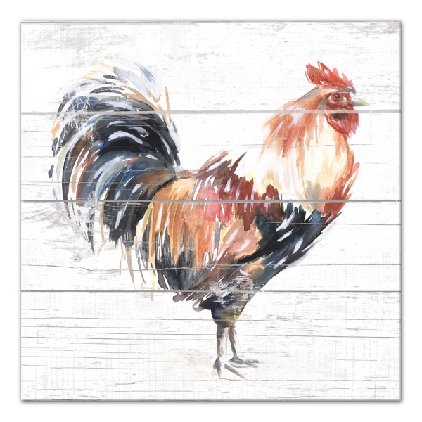 Rooster Kitchen Rug - Kitchen Mat Set of 2, Red Kitchen Rugs Farmhouse  Style, Unique Rooster and Chicken Kitchen Decor, Rooster Themed Decorations  Stuff Gifts for Kitchen, Kitchen Rugs Rooster Theme 