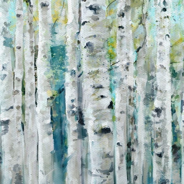 Spring Birches Canvas Art Print