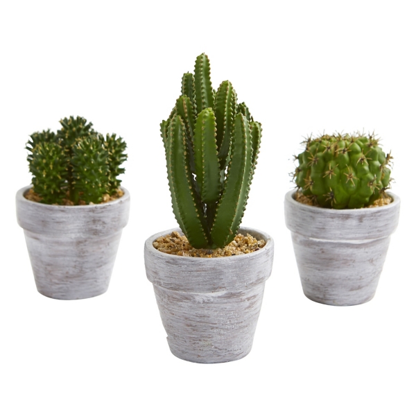 Mini Faux Cactus Plants Set Of 3 Kirklands