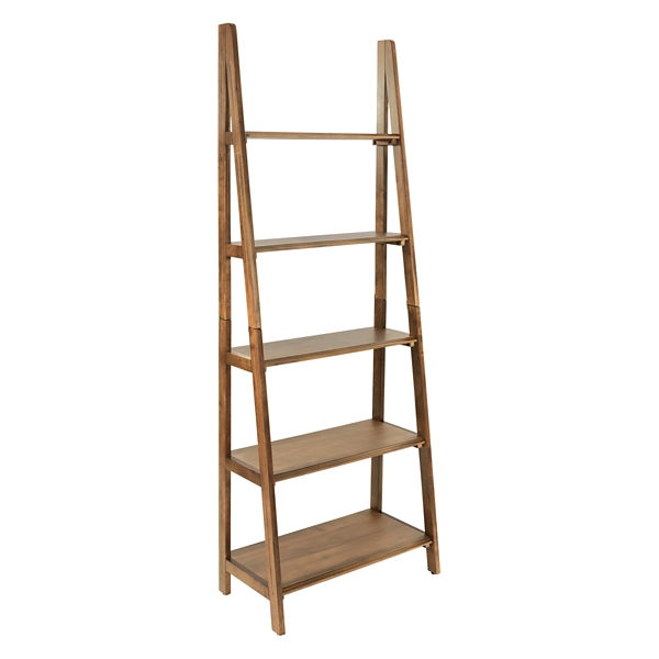 Brown Baxter Ladder Bookshelf Kirklands Home