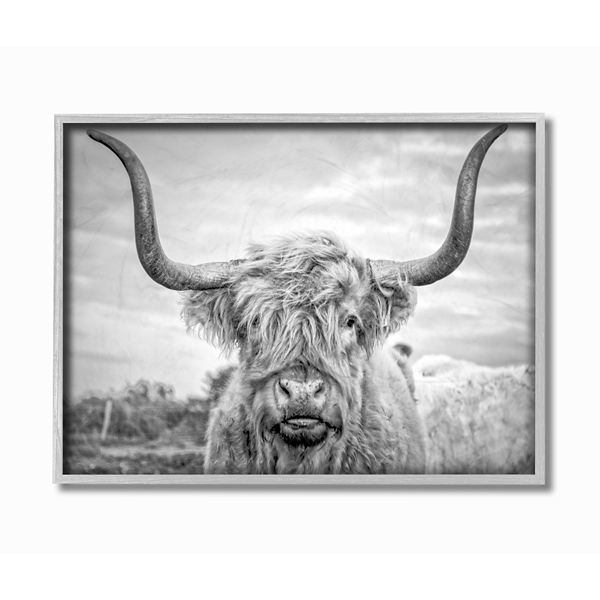 cow photography black and white