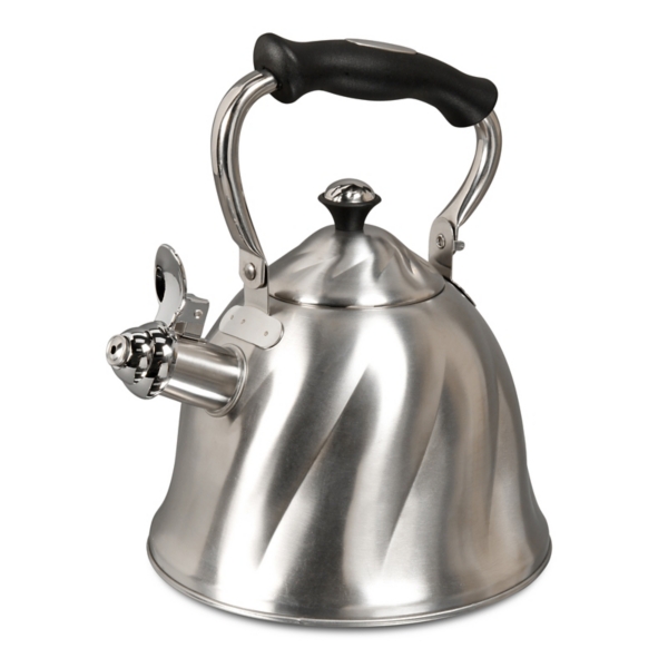 brushed stainless steel kettles