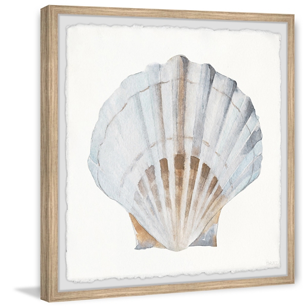 Pretty White Shell Framed Wall Art Kirklands