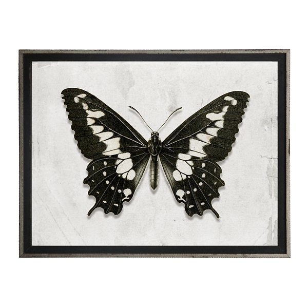 black and white butterfly artwork