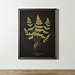 Black Fern V Framed Art Print