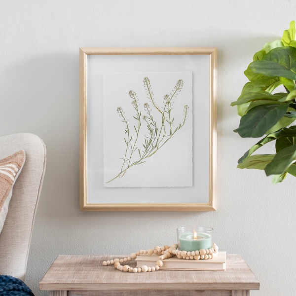 Pressed Flowers IV Framed Art Print | Kirklands Home