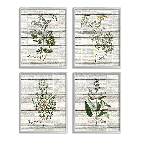 Vintage Herbs Framed Art Prints Set Of 4 Kirklands