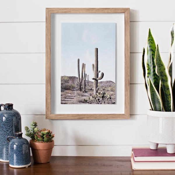 Floating Cactus Framed Art Print | Kirklands Home