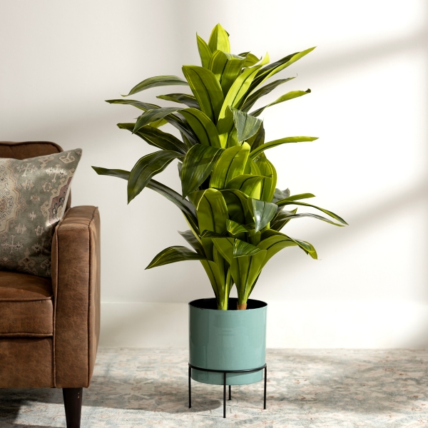 Yucca Natural Touch Plant, 42 in.