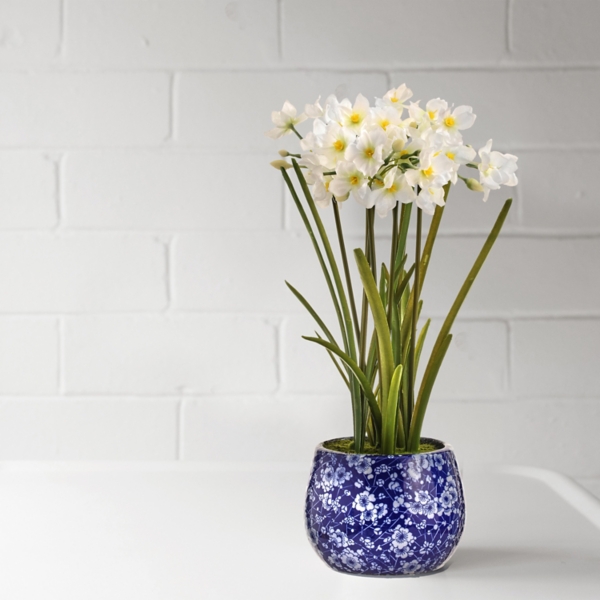 Henderson Flowers Monroe La Best Flower Site