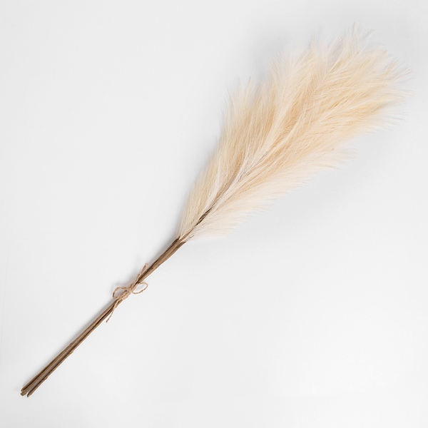 Cream 3pc. Pampas Grass Bundle, 38 in. Kirklands Home