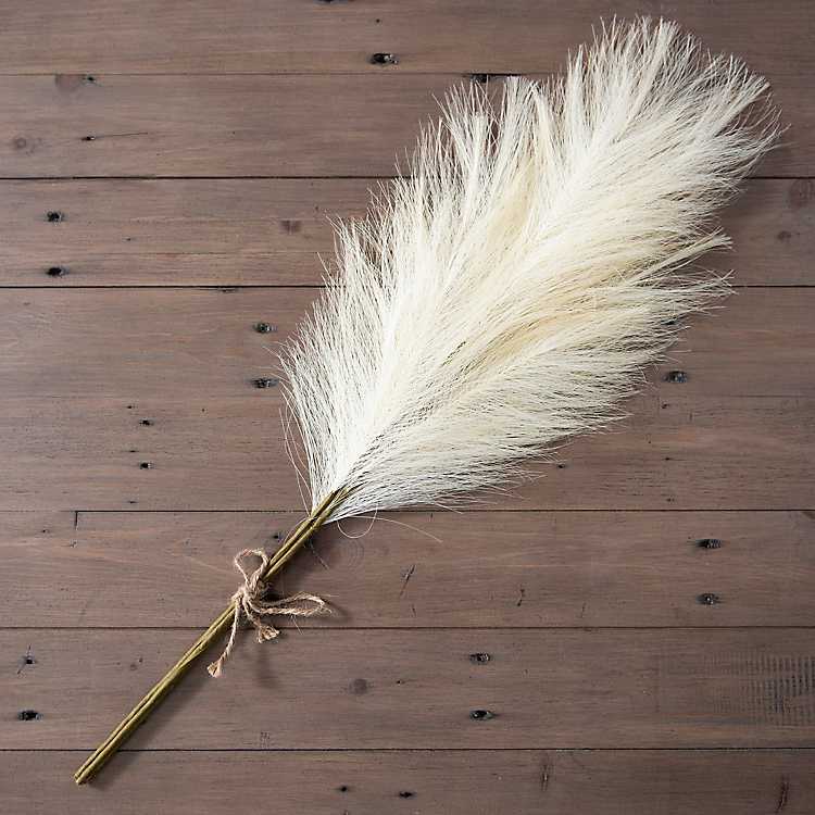 Decor Perfect for Bouquet Extra Large 75 Stem Bundle Including Brown & White Plus Beige Reed Grass Tall 15-19 with Beautiful Full Feathery Plumes Crafts Genuine Natural Dried Pampas Grass