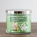 Eucalyptus Leaves 3-Wick Jar Candle