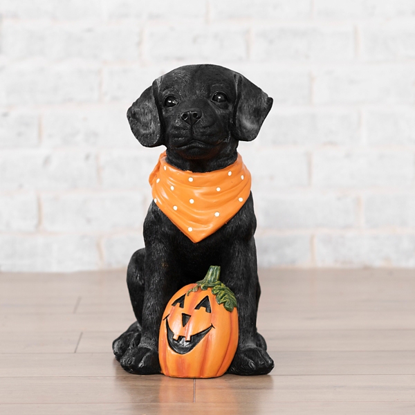 Black Lab with Pumpkin Statue | Kirklands Home