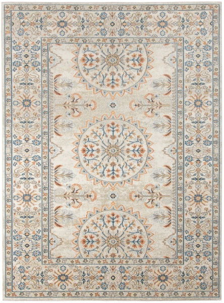 Light Beige Bohemian Area Rug, 7x9