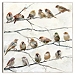 Birds of a Feather Canvas Art Print