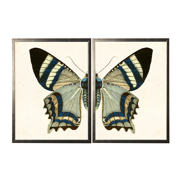 Diptych Butterfly Framed Art Print, Set of 2 Kirklands Home
