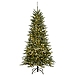 6.5 ft. Lit Snow Slim Morgan Spruce Christmas Tree