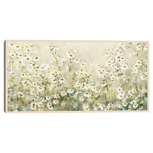 Daisies – trendy canvas print– Photowall