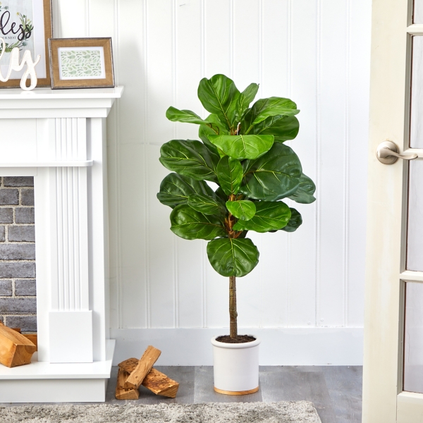 Fiddle Leaf Fig in White Ceramic Planter, 42 in.