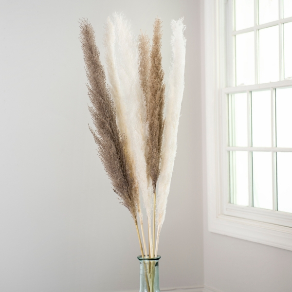 Gray Pampas Grass Stems, Set of 3 Kirklands Home