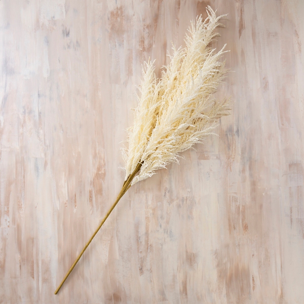 Cream Pampas Grass Stem Kirklands Home