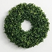 Boxwood Greenery Wreath, 23 in.