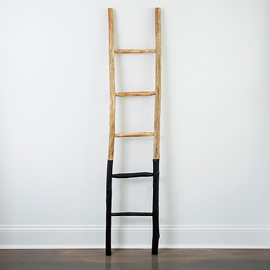 Dipped Black Leaning Ladder