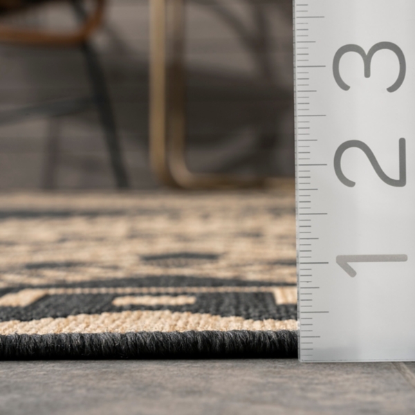 Landy Dark Gray Aztec Outdoor Rug, 8x10