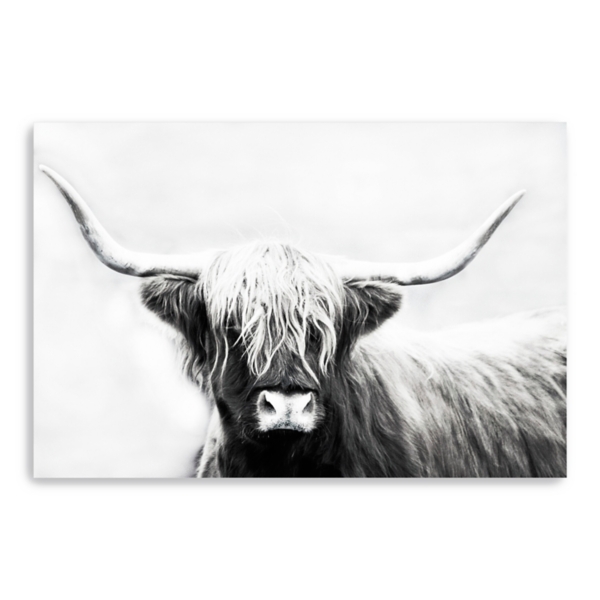 Highland Cow Print Longhorn Print Farm Animal Art Cow Print Highland Cow  Cattle Prints Black and White Animal Print Sign 